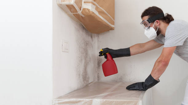 Attic Mold Remediation treatment on roof deck in Manistee